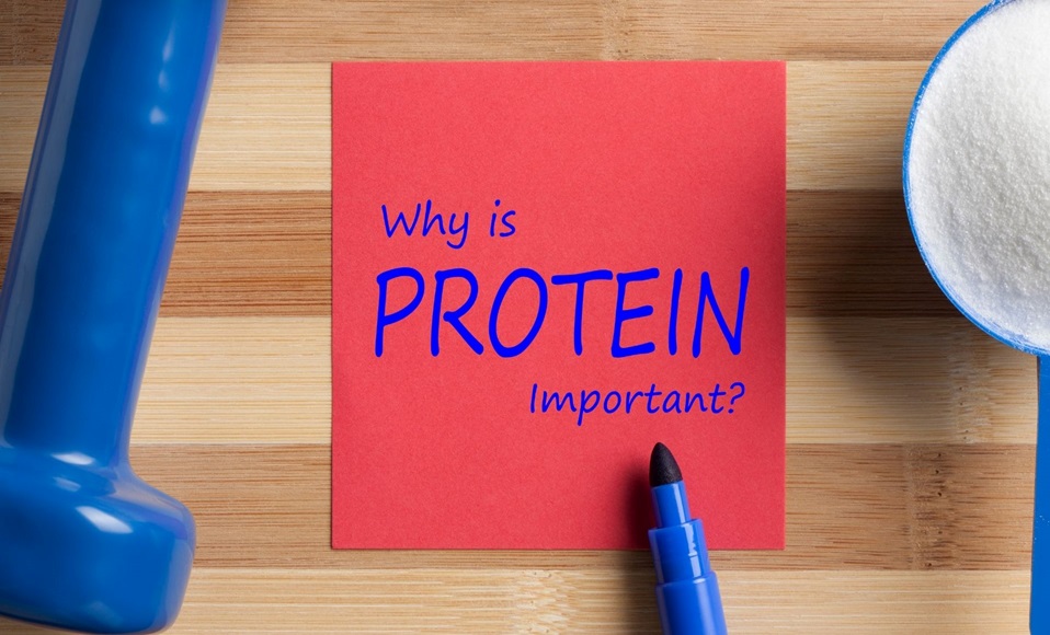 Importance Of Protein After Bariatric Surgery