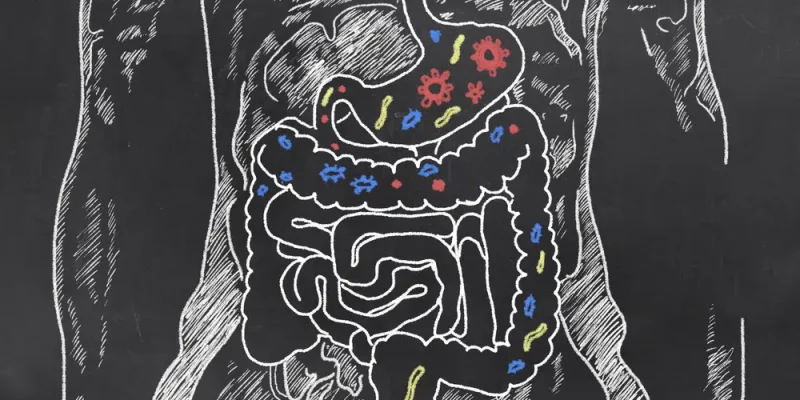 unhealthy gut
